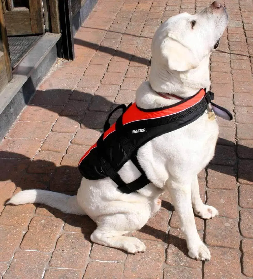 Baltic Dog Buoyancy aid