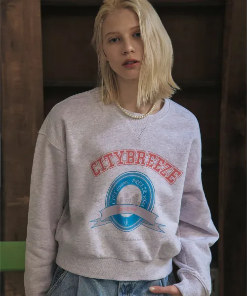 citybreeze  |Unisex Street Style Long Sleeves Cotton Logo Sweatshirts