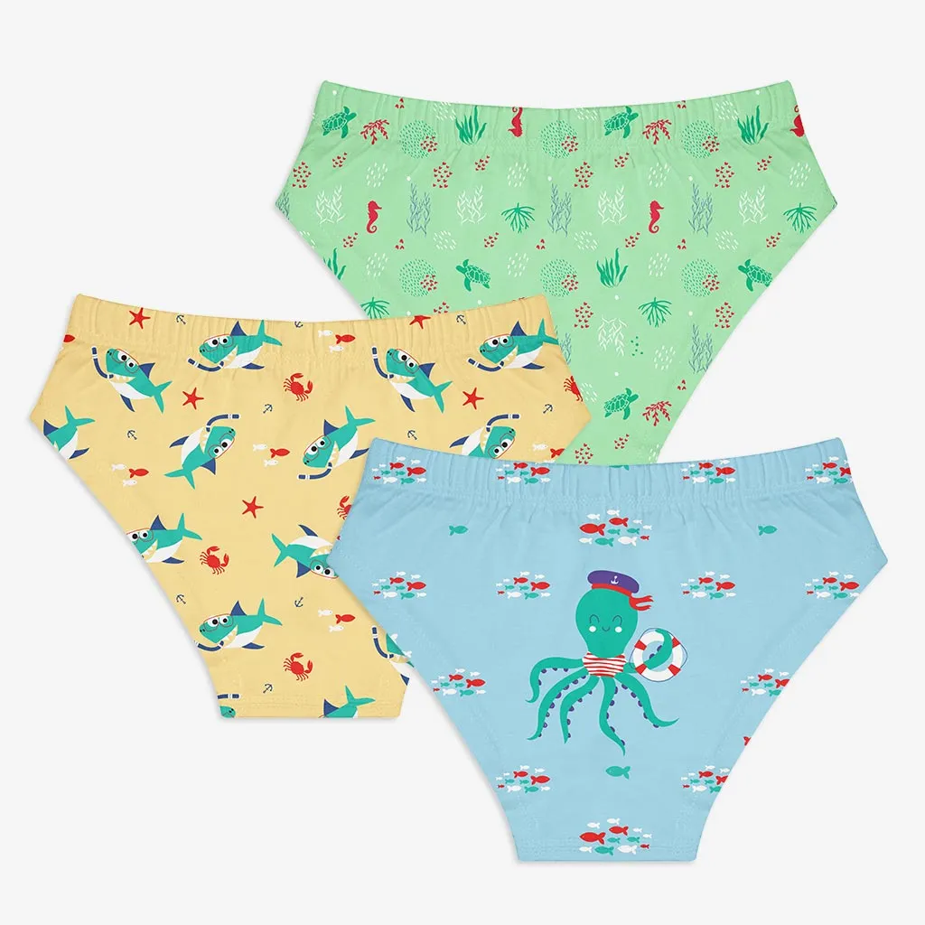 Young Girl Briefs -3 Pack (Sea-Saw)